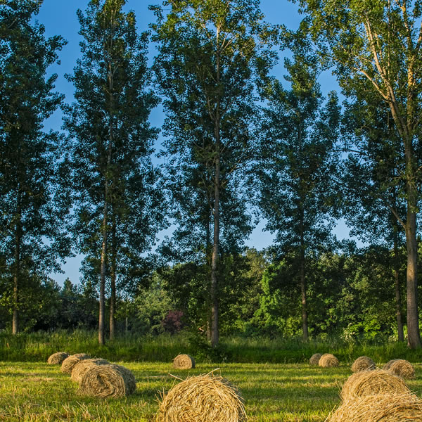 A Fairer Approach to Existing Use Rights