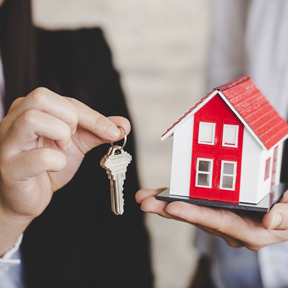 Disclosure of planning controls and approvals when selling land